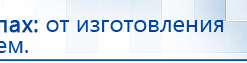 Прибор Дэнас ПКМ купить в Бердске, Аппараты Дэнас купить в Бердске, Дэнас официальный сайт denasolm.ru