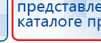 СКЭНАР-1-НТ (исполнение 01 VO) Скэнар Мастер купить в Бердске, Аппараты Скэнар купить в Бердске, Дэнас официальный сайт denasolm.ru